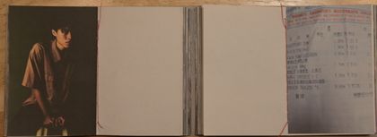 TING BANG TSAI - Born From The Same Root