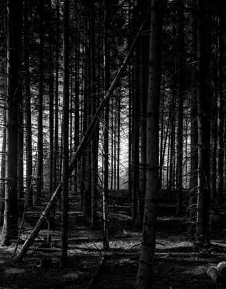 Michel Kekulé, Mutterland