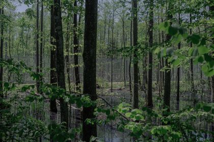 Pasha Kritchko, Map of Memories (2020-ongoing)