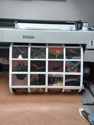 . Priyadarshini Ravichandran, Photography Award 2024