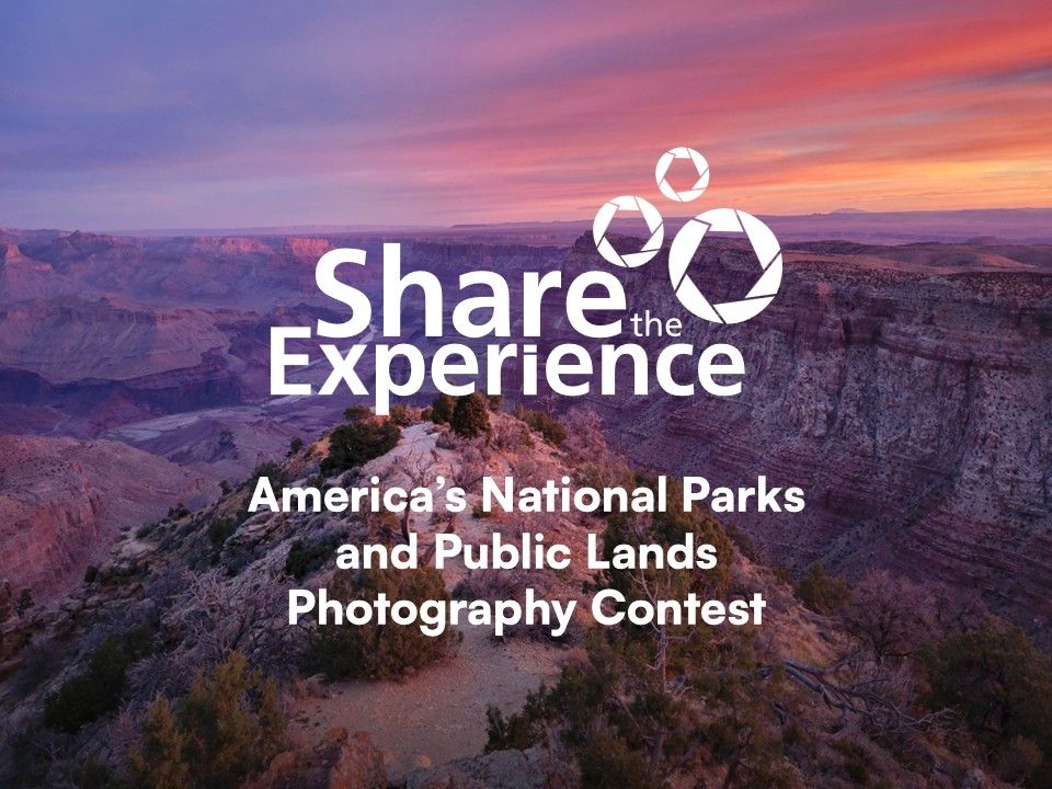 Share the Experience 