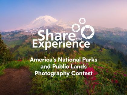 Share the Experience 