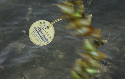 Julie Gough - The Missing, Haunted, Kanalaritja © musée du quai Branly - Jacques Chirac