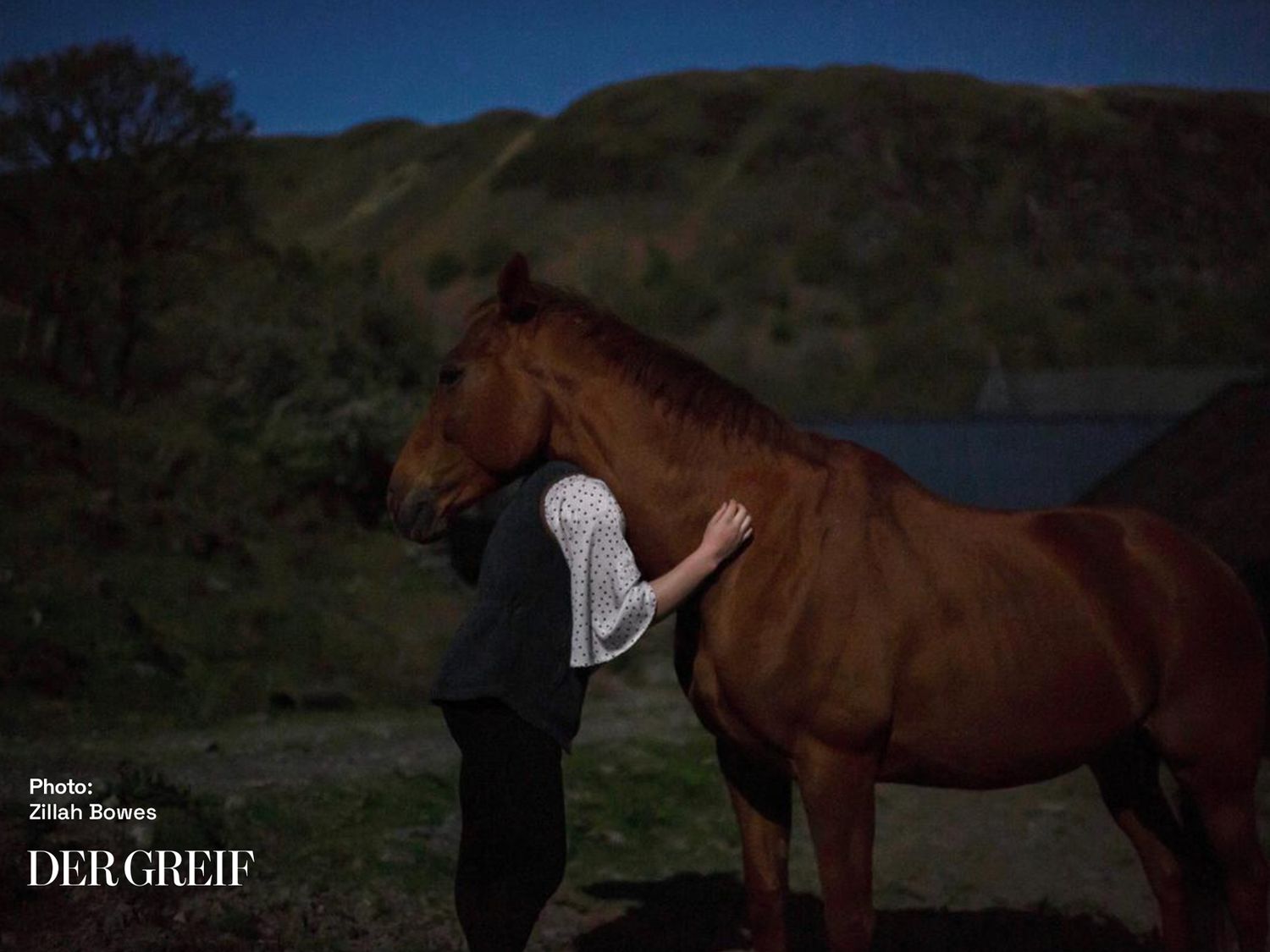Der Greif: Quiet Hours
