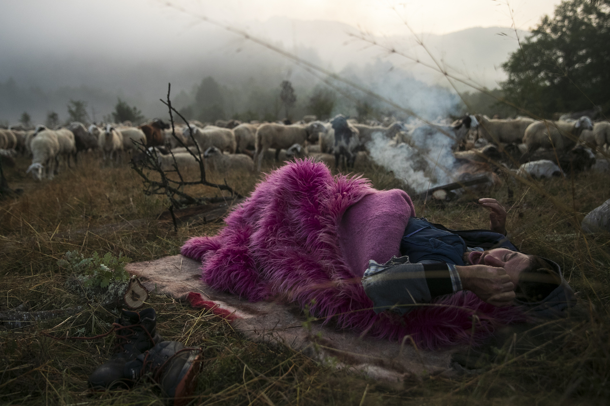 Dimitris Tosidis, Diava: Nomadic Pastorialism in mountainous northern Greece, Winner, APWA 2021