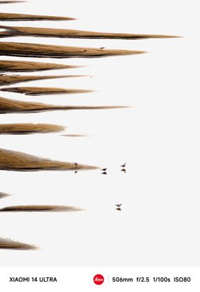 "By the Water" | Li Naitao (China) 