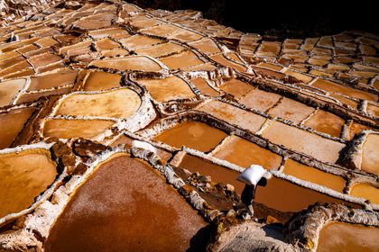 Thibault Gerbaldi, Peru, Salt of the Earth, 