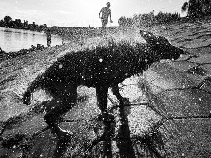 "Dudu's Summer" | Liang Xibing (China)