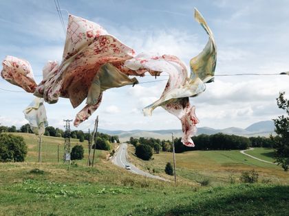 "Fish" | Konstantin Chalabov (Russia)