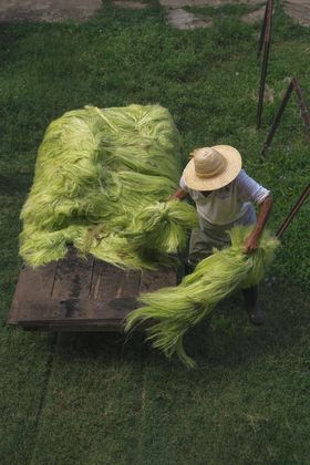 Franchini Maestri Francesca