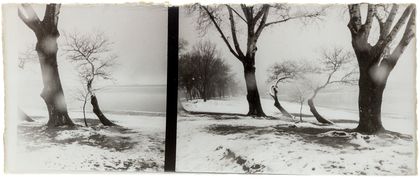 Giorgi Shengelia, from the series Accidental Portraits, 