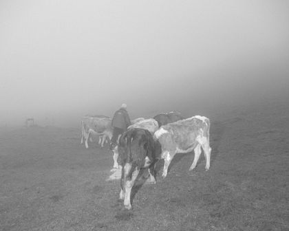 Hannes Jung