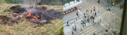 Lo Lai Lai Natalie - 寂靜春天來臨前 The Days Before The Silent Spring