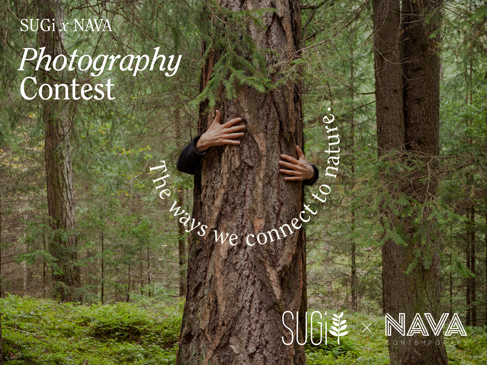 SUGi x NAVA Photography Contest 2023