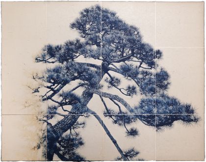 Luca Ortis | OD Photo Prize Discovery | Shodo no.04, 2026