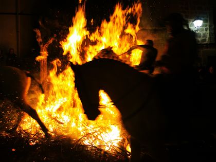 "The Horse on High" | José Luis Morales Martín (Spain)