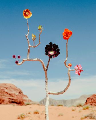 Jennifer Latour | OD Artist & OD Photo Prize Juror | Snow Canyon, Utah