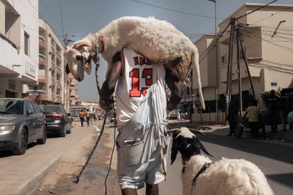 Khlif Skander, Land of the Setting Sun