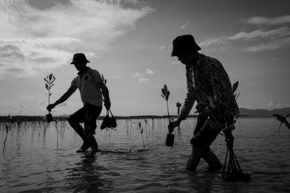 Photo by Roun Ry - 2026 Vital Impacts Mentee