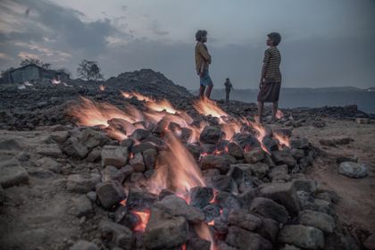 Photo by Supratim Bhattacharjee - 2026 Vital Impacts Fellow