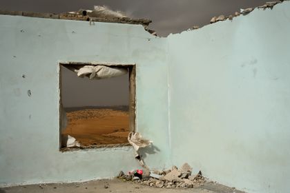 Tanya Habjouqa, Neither the Shadow nor the Sun