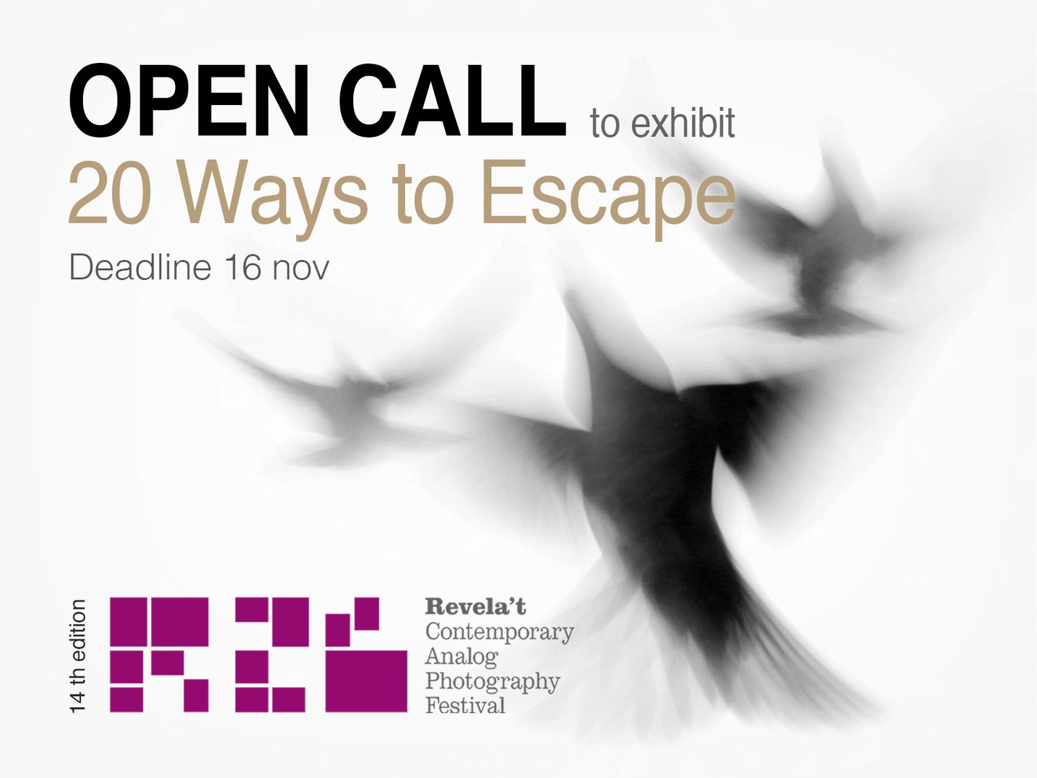 Revela’t 2026 Open Call to Exhibit