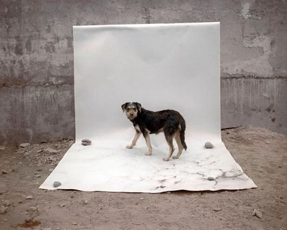 Herbert Mulanovich (Perú), Sin esquina