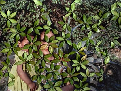 LOBA Women Grant 2026