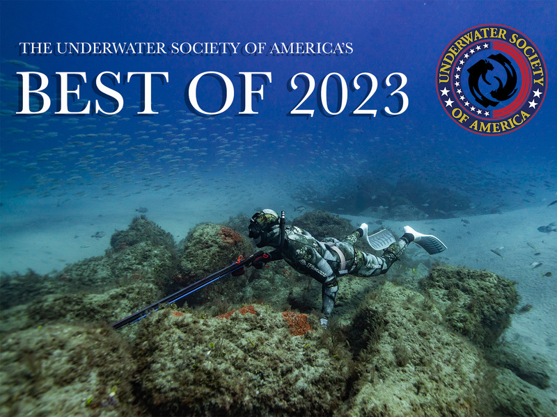 USOA Visuals Best of 2023