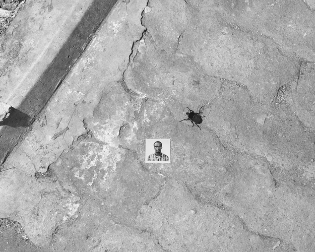 Portrait with Beetle