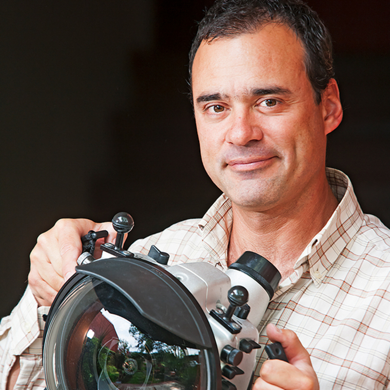 Claudio Contreras Koob