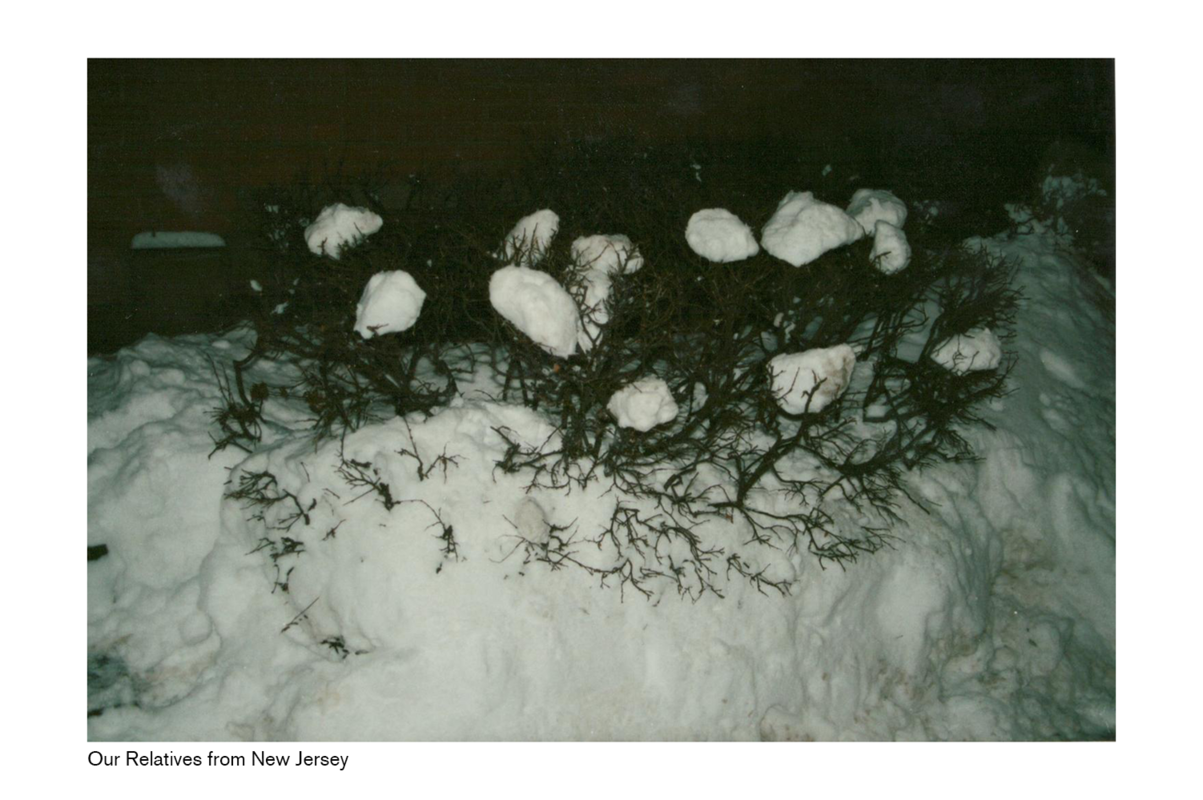 Korovin Roman, Our Relatives from New Jerse, My Family Photo Album, 2018