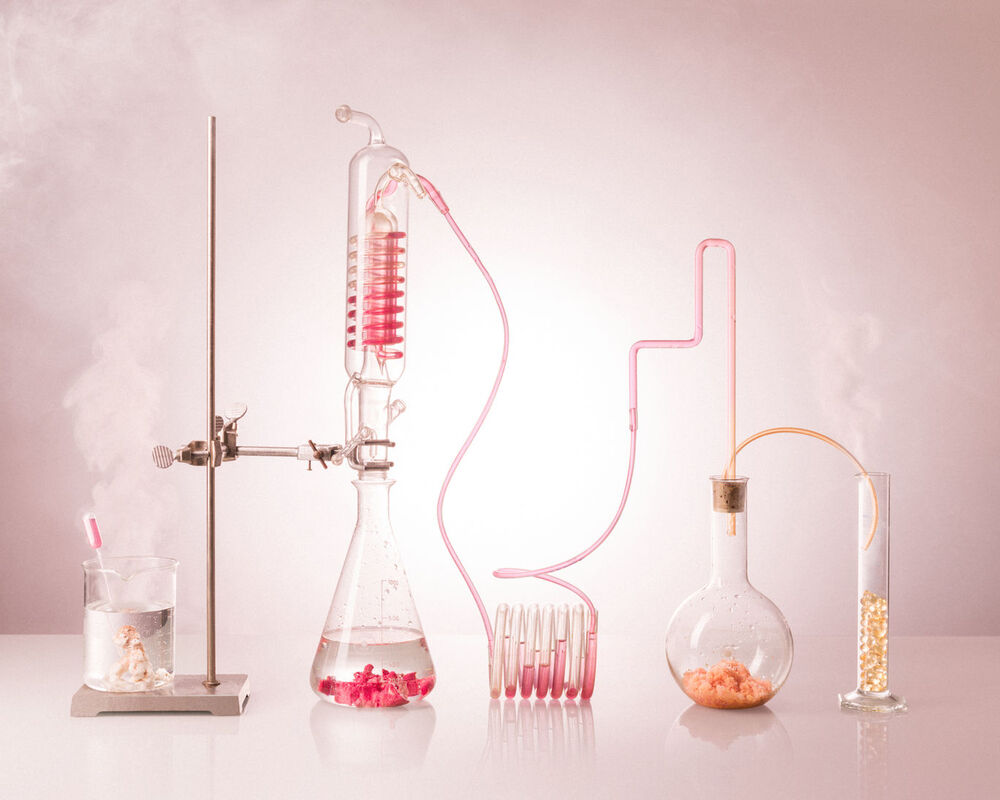 Marie Lukasiewicz - Beyond Coral White, 2019