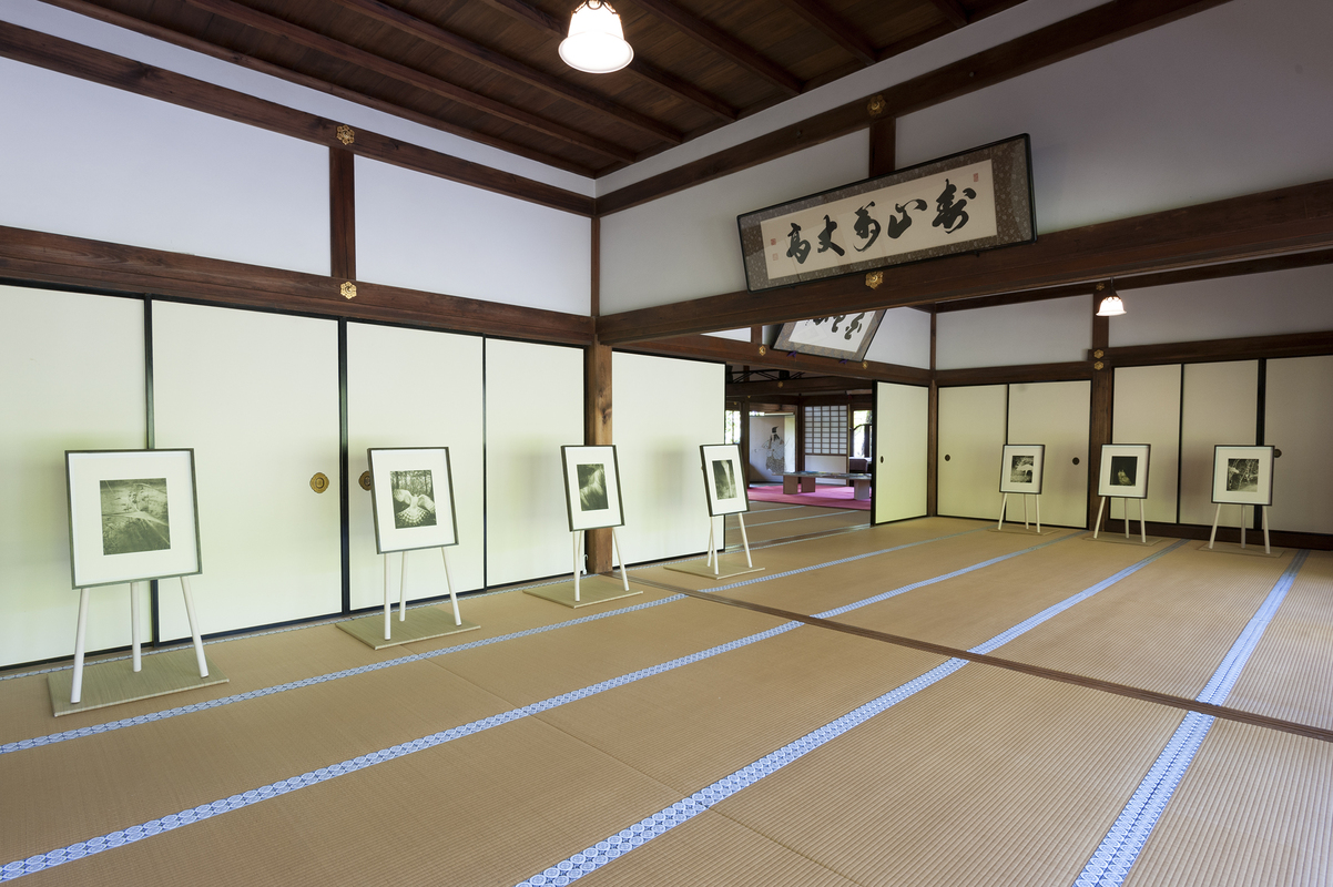 Hariban Award 2017 Exhibition