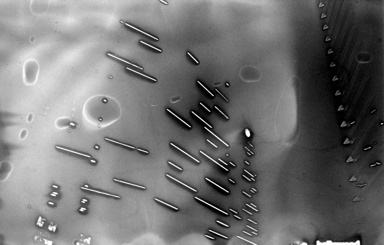 Hariban Award 2015 - Antony Cairns