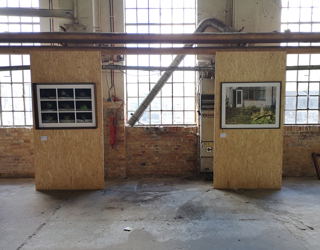 Anna Cherednikova and Lars Daniel at The Censored Exhibition 2019