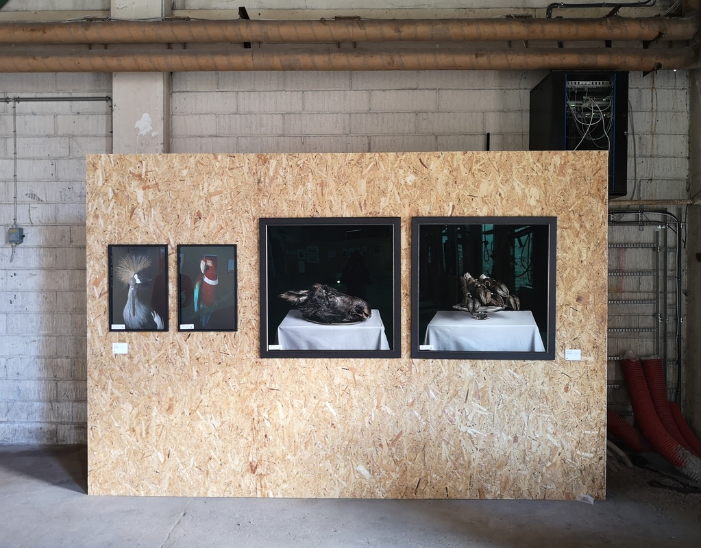 Philip Gath and Annika Bjîrndotter at The Censored Exhibition 2019