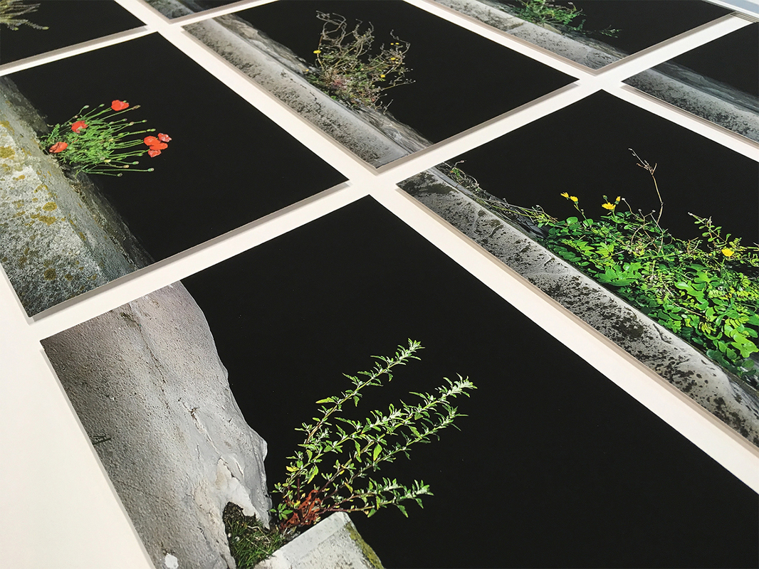 Cherednikova Anna, Unwanted, 2018