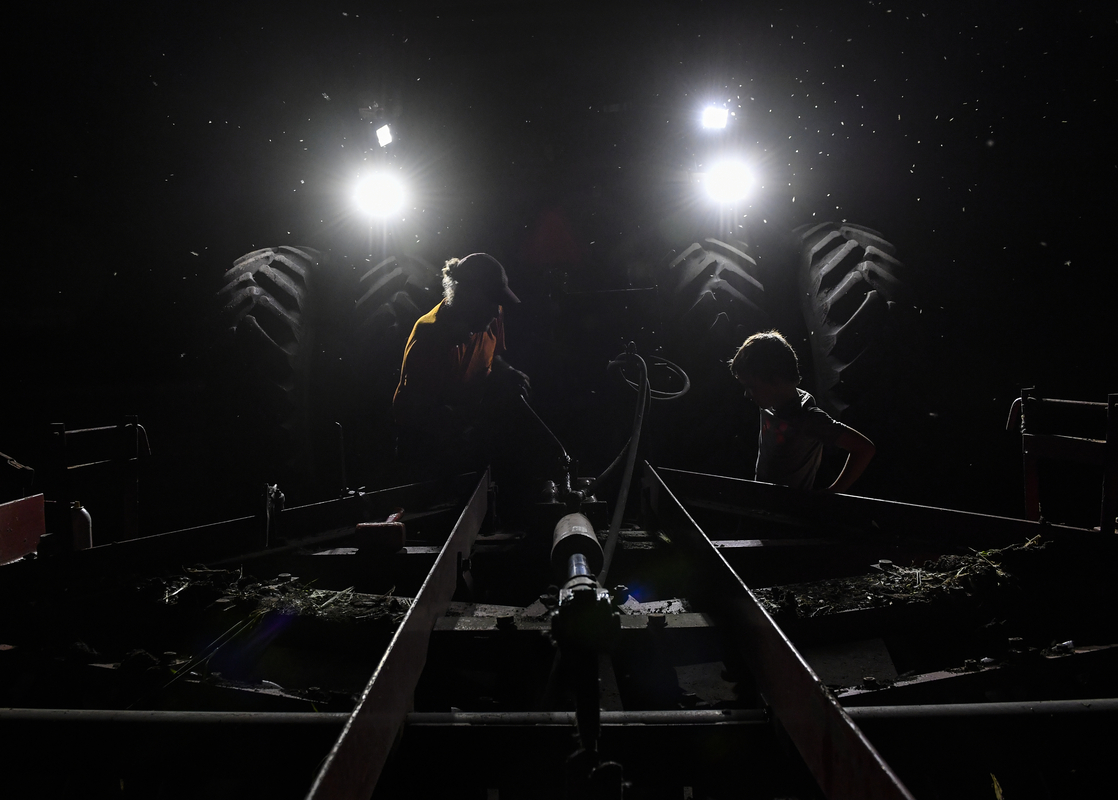 Ricky Carioti - Krocak Farm Crisis