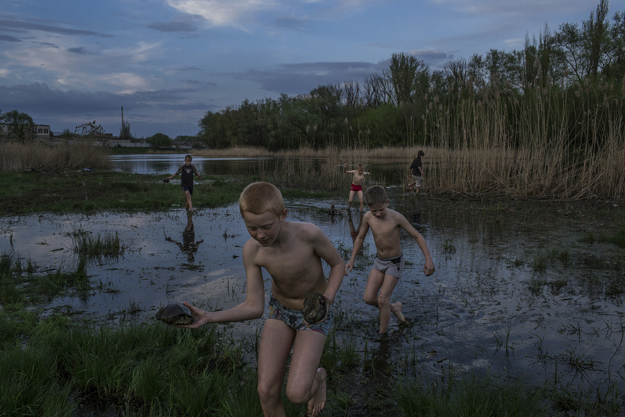 2015 - Mauricio Lima