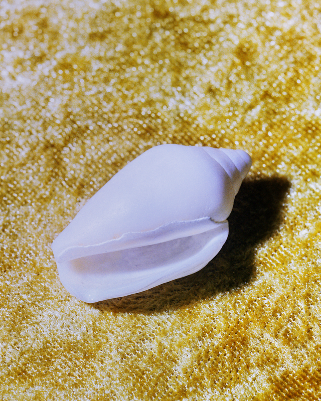 Last Souvenir, from the series Attempt at Calculating Negligence, 2019